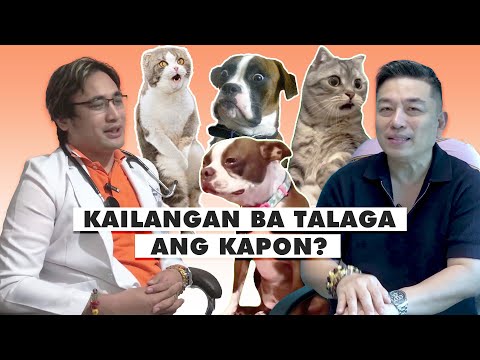 EPISODE 01 | KAPON | SPAY OR NEUTER