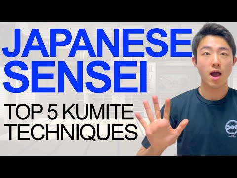 Top 5 Kumite Techniques by Japanese Karate Sensei!