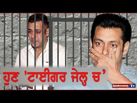 ਹੁਣ 'ਟਾਈਗਰ ਜੇਲ੍ਹ ਮੇਂ'