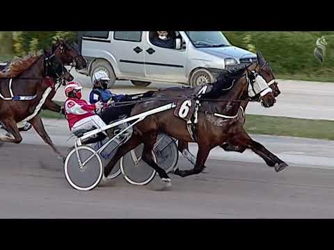 Aversa trotto 6 Febbraio 2021 - 7° Corsa