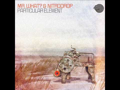 Mr.What? & NitroDrop - Larger Picture