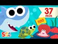 Let's Count To 100 with Finny The Shark | 40 Minutes of Kids Songs | Super Simple Songs