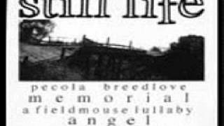 still life   memorial