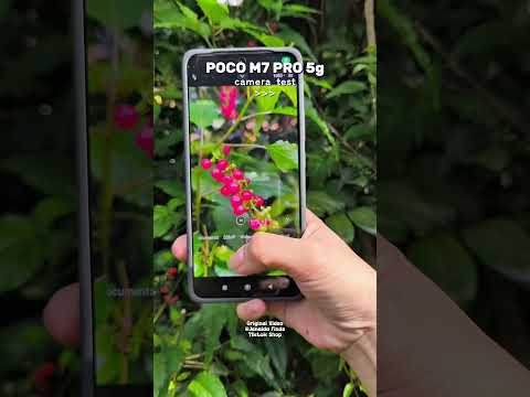 Poco M7 Pro 5g Camera Test 💯 #pocom7pro5g