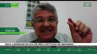 Miniatura do vídeo