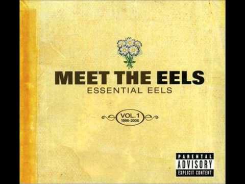 The eels - Love of the loveless (HQ)