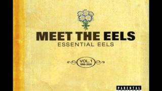 The eels - Love of the loveless (HQ)
