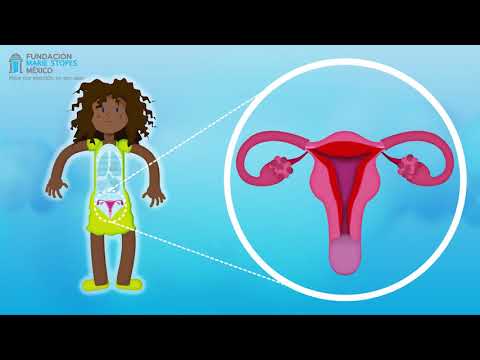 Menstruation and menstrual cycle.