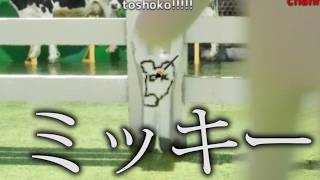 ミッキー描いたり、ピカチュウ描いたりする、純粋かくれんぼ【めっちゃカメレオン】