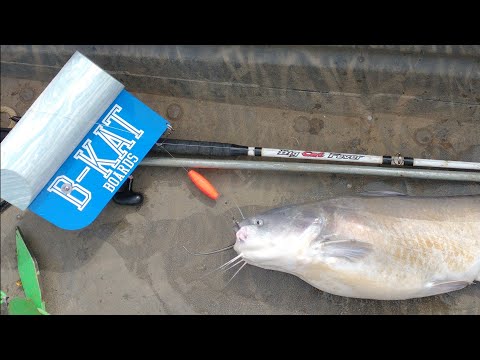 Catfishing With Planer Boards For Dummies