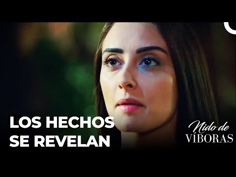 Elvan Busca Chismes - Nido De Víboras