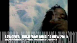 LAWGIVER - KUSH FROM JAMAICA - BLACK FOXX MOVEMENT -DJ SHAGGY DANGER