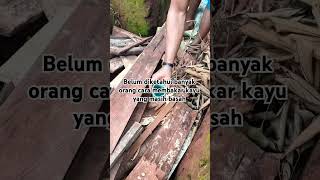 Download lagu Belum diketahui banyak orang cara membakar kayu yang masih basah #trick #caramudah #kayubakar #short mp3 Download lagu Belum diketahui banyak orang cara membakar kayu yang masih basah #trick #caramudah #kayubakar #short mp3