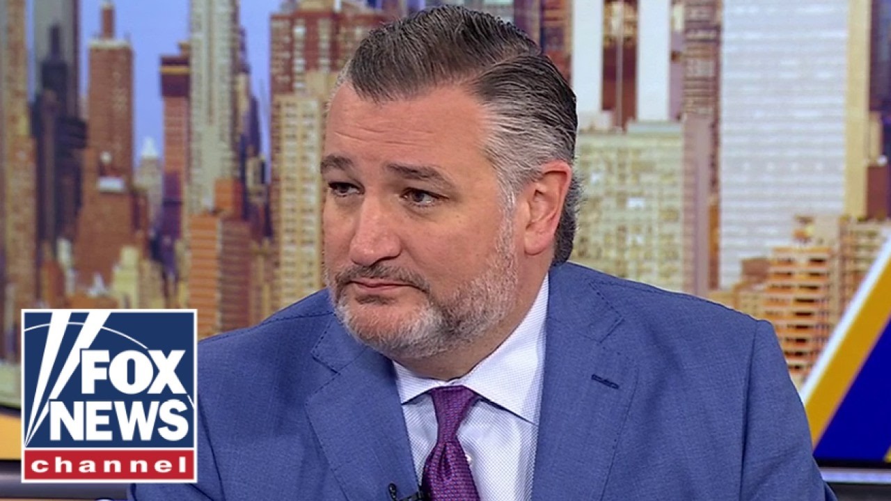 Ted Cruz SOUNDS ALARM on crucial race: This will 'LEAVE BRUISES'