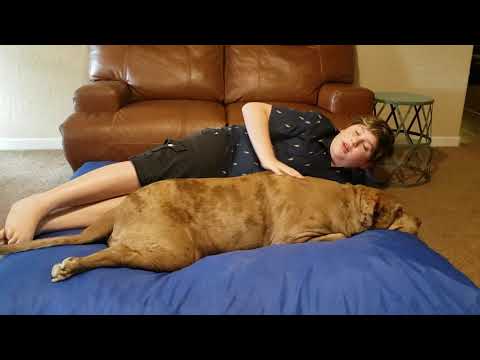 Nehemiah talks about his dog Camo