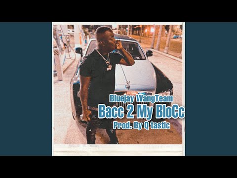 Bacc 2 My Block (feat. Q Tastic)