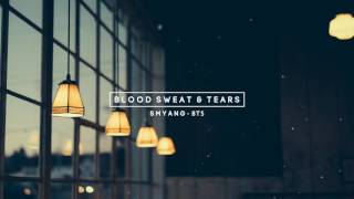 [FULL] BTS (방탄소년단) - Blood Sweat & Tears (피 땀 눈물) - Piano Cover