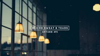 [FULL] BTS (방탄소년단) - Blood Sweat & Tears (피 땀 눈물) - Piano Cover