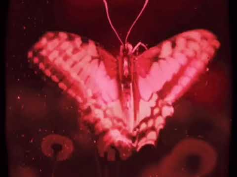 Klarity f. Fiz Baby & Bigga Don #VFILES##?