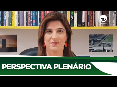 Confira o que pode ser votado no Plenário nesta semana - 22/06/20