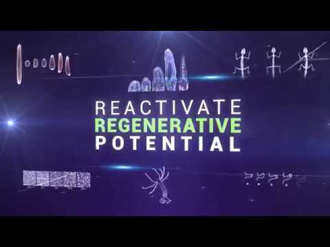 Embryonic.AI demonstration — click to play