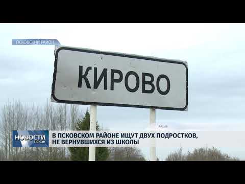 13.03.2019 / В Псковском районе ищут пропавших подростков