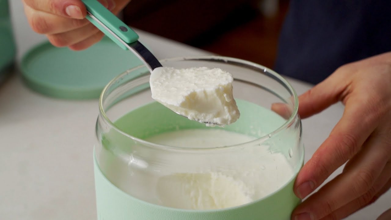 Making SIBO Yogurt Reuteri & Gasseri Failures & Separation Discussion