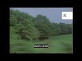 1970s Surrey England POV Train Ride Through Countryside 35mm