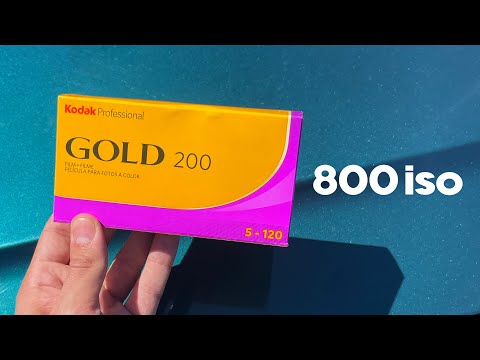 Kodak gold 120 PUSHED to 800