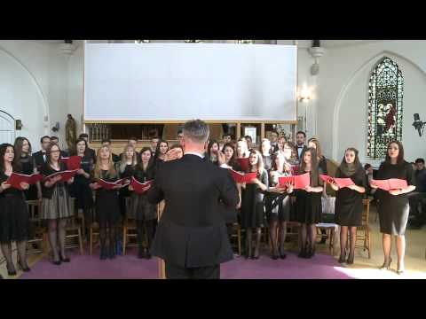 Amicus Timisoara - Vino si vezi