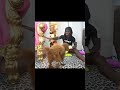 Kai Cenat Adopting Dog For 24 Hours Part 1