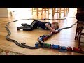 BUILDING A HUGE THOMAS TRAIN TRACK THROUGH OUR HOUSE!