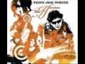 Tony Joe White / Cool Town Woman 