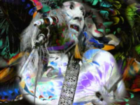 Daevid Allen - It's a fine air for fliss