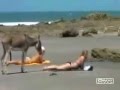 Как же я ее хочу 
