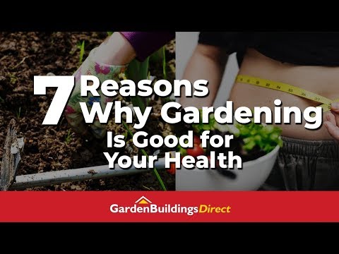 download lagu mp3 mp4 Easylife Garden, download lagu Easylife Garden gratis, unduh video klip Easylife Garden