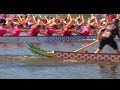 Sarasota Dragon Boat Races for Breast Cancer at.