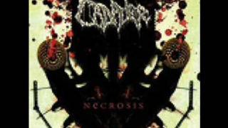 Cadaver - Evil is done