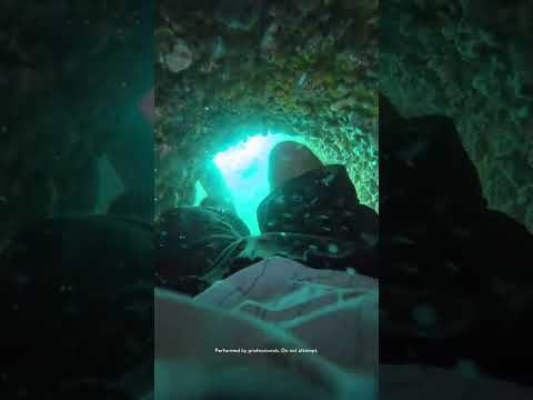 Ocean hidden explore. #harbour #beach #papos #facts #reels #explore #kids