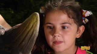 TING TING ARRIVES: Tenby Dinosaur Park Comedy Horror Mini Movie