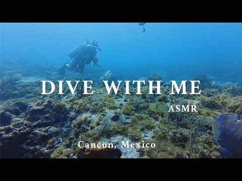Dive with me | Cancun, Mexico | ASMR no talking | Diving course | SCUBA certification
