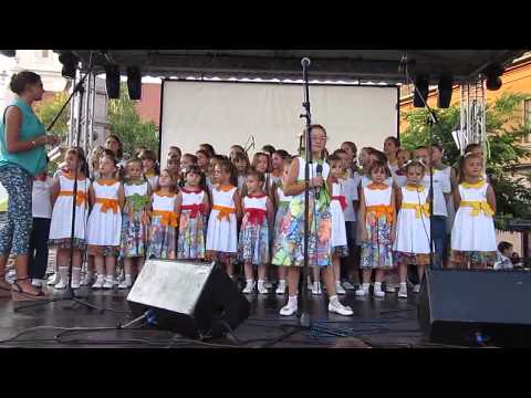 Hor Šareni Vokali - SO Leto 2014 - SLANA BANANA (Tara Kasap)