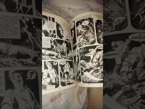 Dylan Dog n.160. Il Druido