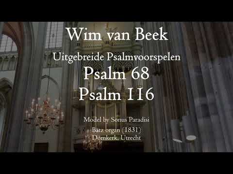 Wim van Beek - Preludes on Psalms 68 & 116 - Bätz organ, Dom Utrecht, Hauptwerk