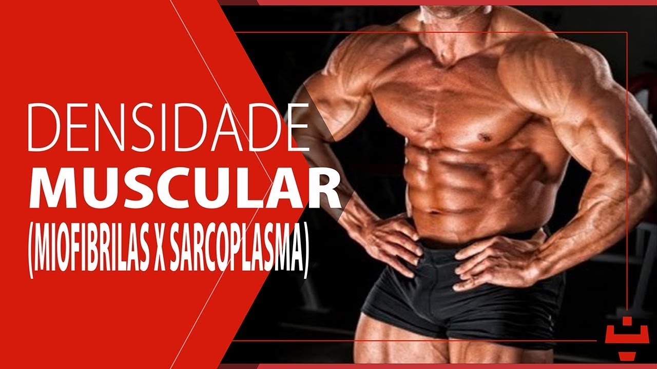 COMO CONSEGUIR DENSIDADE MUSCULAR | MIOFIBRAS X SARCOPLASMA