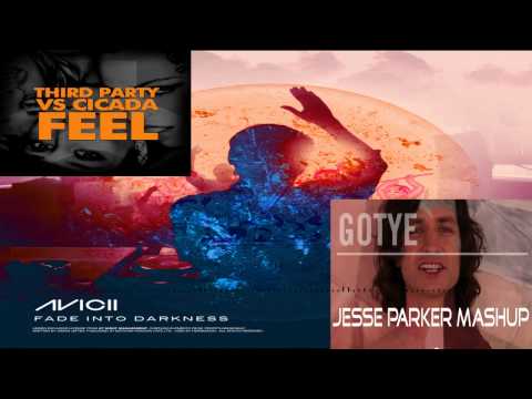 Avicii vs Gotye vs Third party vs Cicada (Jesse Parker Mashup)