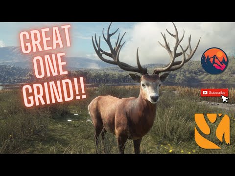 Back to our Red Deer grind!! | The Hunter Call of the Wild