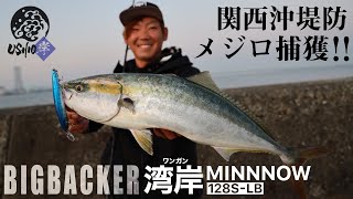 【USHIO】湾岸ミノーでメジロ捕獲！！関西 泉佐野一文字 / ビッグバッカー BIGBACKER / 杉山代悟