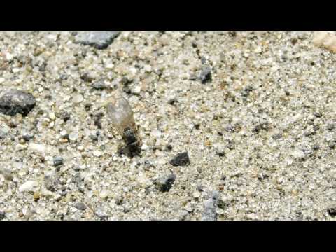 17 06 pt2 Breakthrough   Martin Carlberg