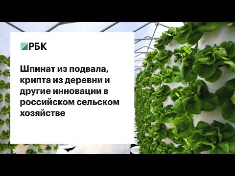 ������ �� �������, ������ �� ������� � ������ ��������� � ���������� �������� ���������